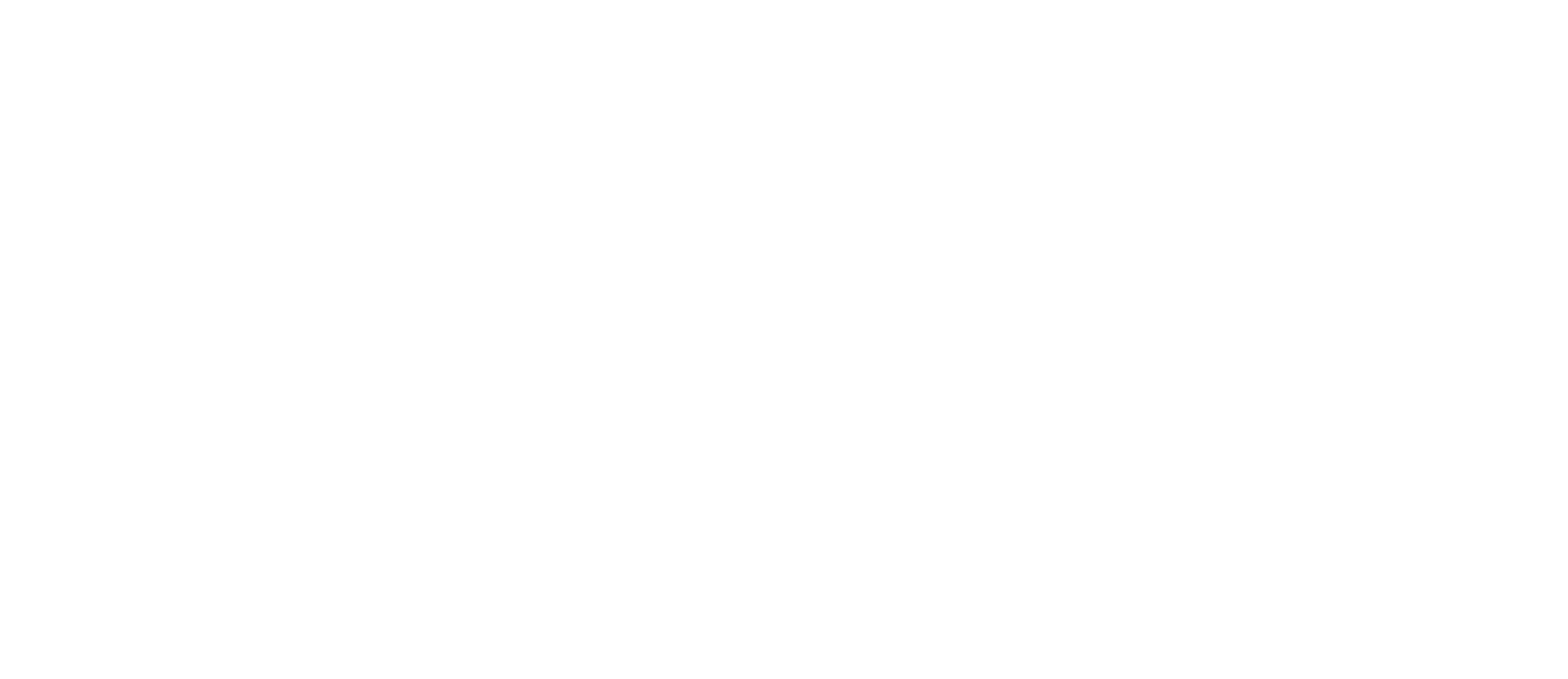 ANA Logo